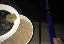 深秋夜钓口太差？用好5个技巧不怕空军