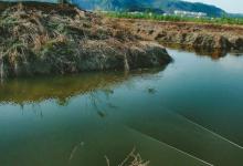 仲春钓鱼有3难，不仅是温度高钓浅水，难在鱼情和饵料