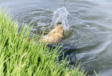 开春钓鱼黄金季，想要渔获满满，这几个职业病别有