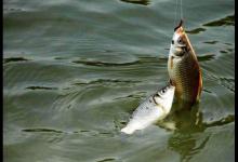 春钓要想有个好渔获，不要单从饵料入手，从这3方面