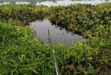 春钓滩没错，但不是所有的滩都有鱼，春钓浅滩攻略分享