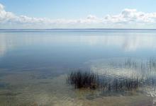 春季钓浅滩，别人连竿你不上鱼，因为钓位不是真浅滩