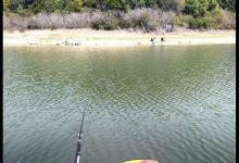 春季垂钓何时钓深？何时钓浅？看完这篇文章你就懂了