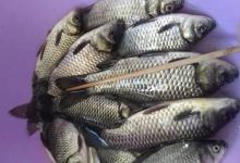 晚秋适合野钓的4种钓点，都是藏鱼的好地方