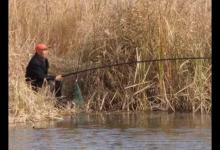 在春季野钓，长竿短线和台钓，哪一个更合适