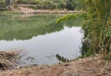 春季气象多变，鱼口轻弱不好抓口，这些效果很棒