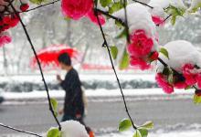 钓鱼遇到倒春寒，应该怎么办？通过这几个方法解决