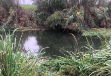 深秋到初冬，注意4钓4不钓，渔获差不了