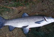 冬钓照搬下面的2个方法，在冬天也能钓上大鱼