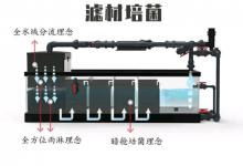 养金鱼那些不得不说的小秘密之过滤系统和硝化细菌的关系