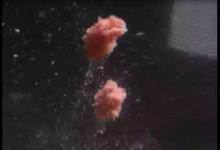 春季钓鱼，突然没有鱼吃钩的4个原因，要发现早