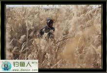 传统钓长竿短线在冬季钓草窝的技巧