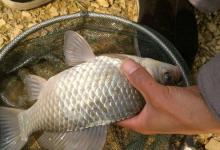 冬天钓鱼怕冷？这几个防冻技巧甚至可以让你通宵