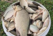 想钓好鱼就要找到鱼，春季学会这样找鱼钓，不怕钓不到