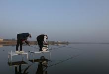 冬季钓鱼一定要用纯腥饵吗？