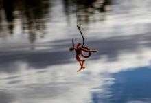 多年实践总结的七条冬季垂钓经验