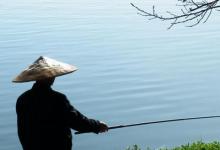 秋后想上更多鱼？抛开常规钓法，试试这套长竿短线法