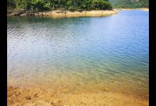 为什么春天要钓浅滩？弄明白了原理才能从容应对