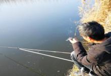 冬季要想钓好鱼，从这几处去调整，渔获少不了