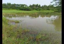 为什么初春在好鱼情的农村，你依然钓不到多少鱼