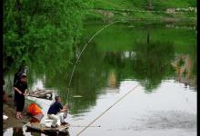 夏季野钓鲢鳙的两大钓位技巧