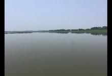 夏季野钓的技巧，让不断上鲴