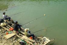 冬季怎么垂钓鲫鱼？首先五个要点要知道