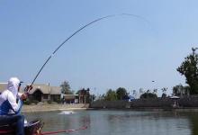 入秋钓鱼和夏季钓鱼有什么不一样？详细解答