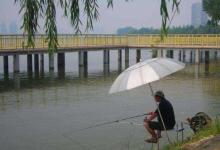 秋钓时，只需找到3个宝地，保你不空军