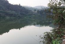 秋季钓大鱼，不想经常切线跑鱼，那就早点掌握这些