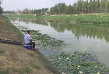 夏季钓鱼，运用好几个打窝心得，不仅诱鱼快还不招杂鱼