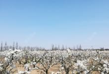 野钓鲫鱼 春季野钓浅谈