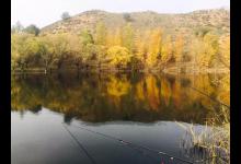 初秋库钓大鱼，选个好位置，上鱼率大大提高