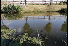 为什么夏季杂鱼闹窝，而到了秋季大鱼频繁吃钩