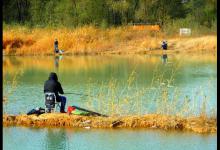 初秋野钓总空军怎么办？钓友们从这三点做起