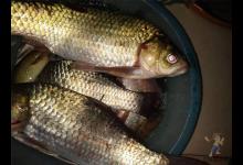 深秋鱼真的难钓？需要灵活变通而已