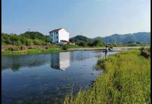 十一假期这5种鱼最合适，错过了又得等半年