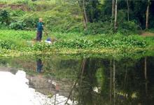 秋季钓鲫鱼的5种优秀钓点，鱼儿扎堆，鱼获自然差不了