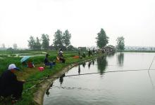 夏季钓鱼用的三个饵诀窍分享