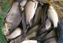 秋季野钓需要注意的4个规律