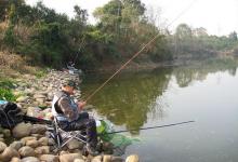 老司机分享实用钓鱼策略，掌握这些让你秋后多钓鱼