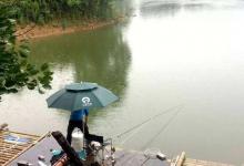 夏季雨天钓鱼的钓法绝招，一般钓鱼人学不来
