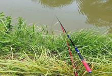 夏季野钓掌握这些狠招，避杂鱼钓大鱼