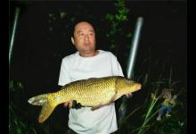 同样钓位和饵料，隔天渔获差别大？深秋的深浅影响很大