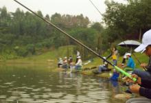 大暑天垂钓，钓鱼的注意事项及技巧