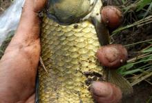 深秋温差大真的不好钓鱼？选对时段和钓位选对与饵料用对