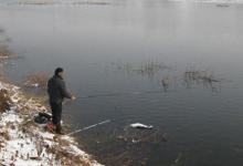 冬季钓鱼鱼口轻怎么解决？