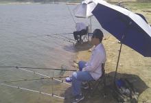 夏季钓鱼不开口，有可能是这些因素导致