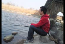 冬季大棚怎么钓鱼？关键看四点