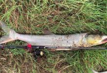 钓鳡鱼的最佳时间是什么时候？